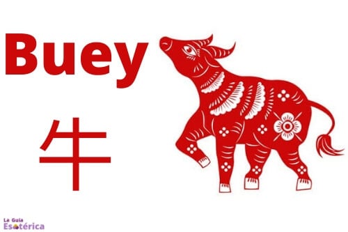 Buey Horóscopo Chino